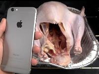視頻｜iPhone6進(jìn)烤箱4小時(shí)，居然能開機(jī)