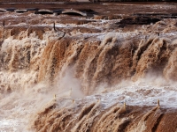 2014全國(guó)人均月流量205M 同比增62.9%