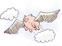 馬云說(shuō)互聯(lián)網(wǎng)的豬要當(dāng)心，雷軍造嗎？