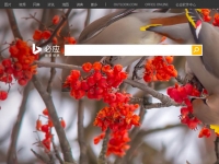 HoloLens太遠(yuǎn)，必應(yīng)才是微軟重頭戲