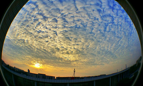 器材篇｜如何在新年用手機拍出高逼格