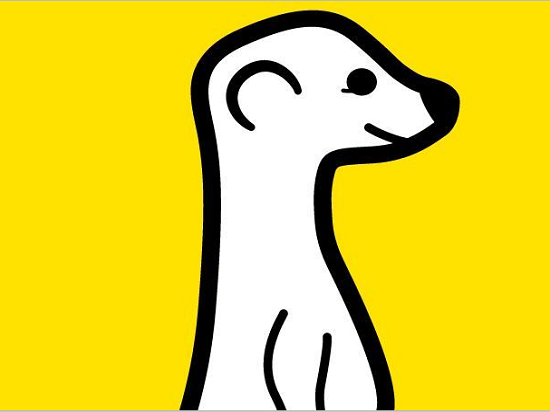 不和你玩了，Twitter封殺直播應(yīng)用Meerkat