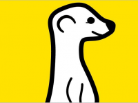 不和你玩了，Twitter封殺直播應用Meerkat