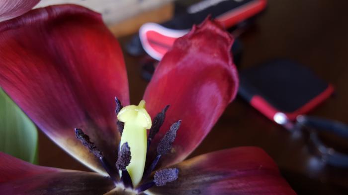 細(xì)節(jié)為王，從對(duì)比樣張看三星S6秒殺iPhone6 Plus