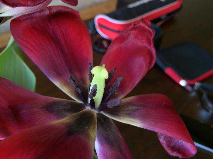 細(xì)節(jié)為王，從對(duì)比樣張看三星S6秒殺iPhone6 Plus