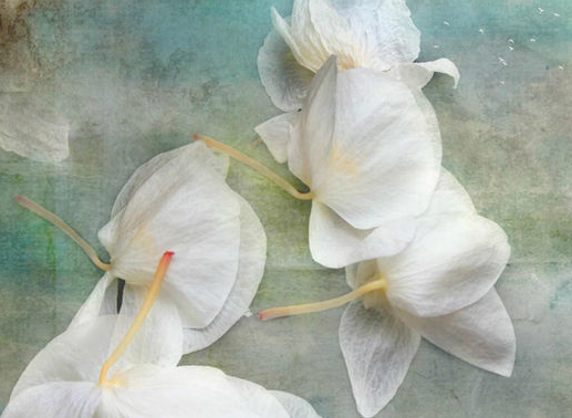 1428217251797036.png 提前為“身后事”做安排的服務(wù)