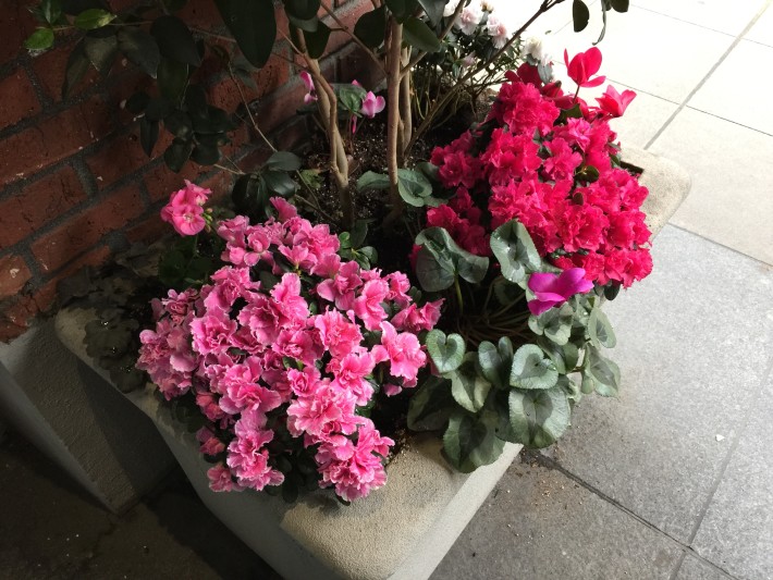 旗艦機(jī)樣片大PK，三星S6 Edge秒殺索尼Z3