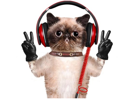 微信公眾號(hào)可以添加音樂(lè)了