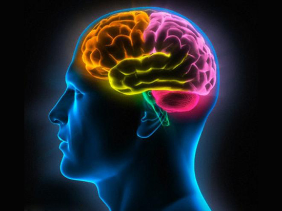 小心！研究發(fā)現(xiàn)看色情圖片或?qū)е麓竽X萎縮