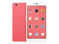 京東再成好隊友：錘子堅果U1手機(jī)全曝光