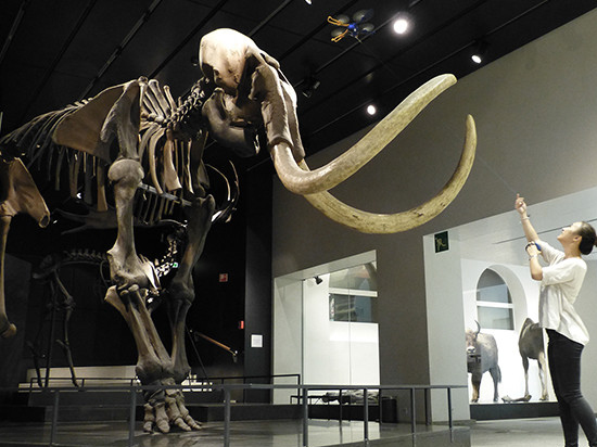 這叼炸天的自拍器，竟能飛起來！