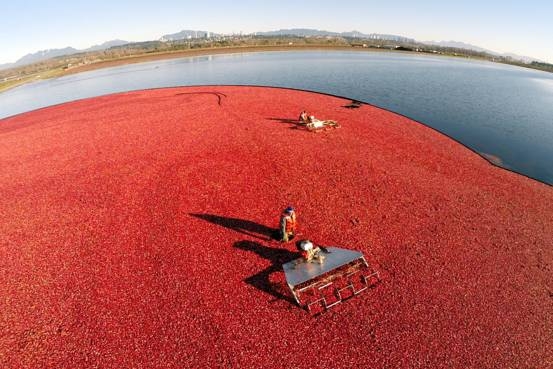 除了游戲和色情，VR還可以這么營(yíng)銷(xiāo)！