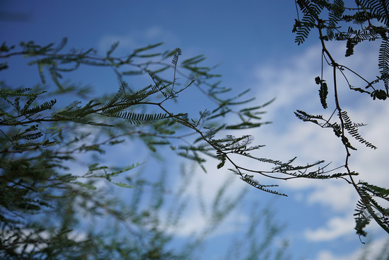 買哪個(gè)好？終極PK：微單和單反誰出色？