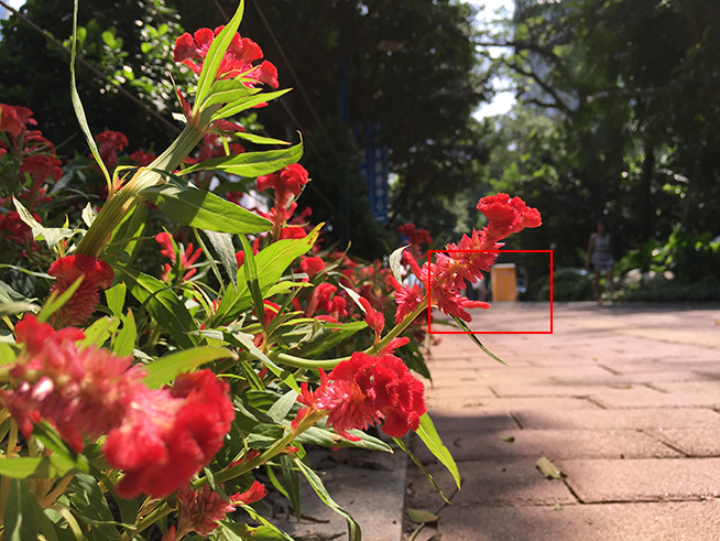 拍照差別大嗎？iPhone 6s Plus對比iPhone 6 Plus