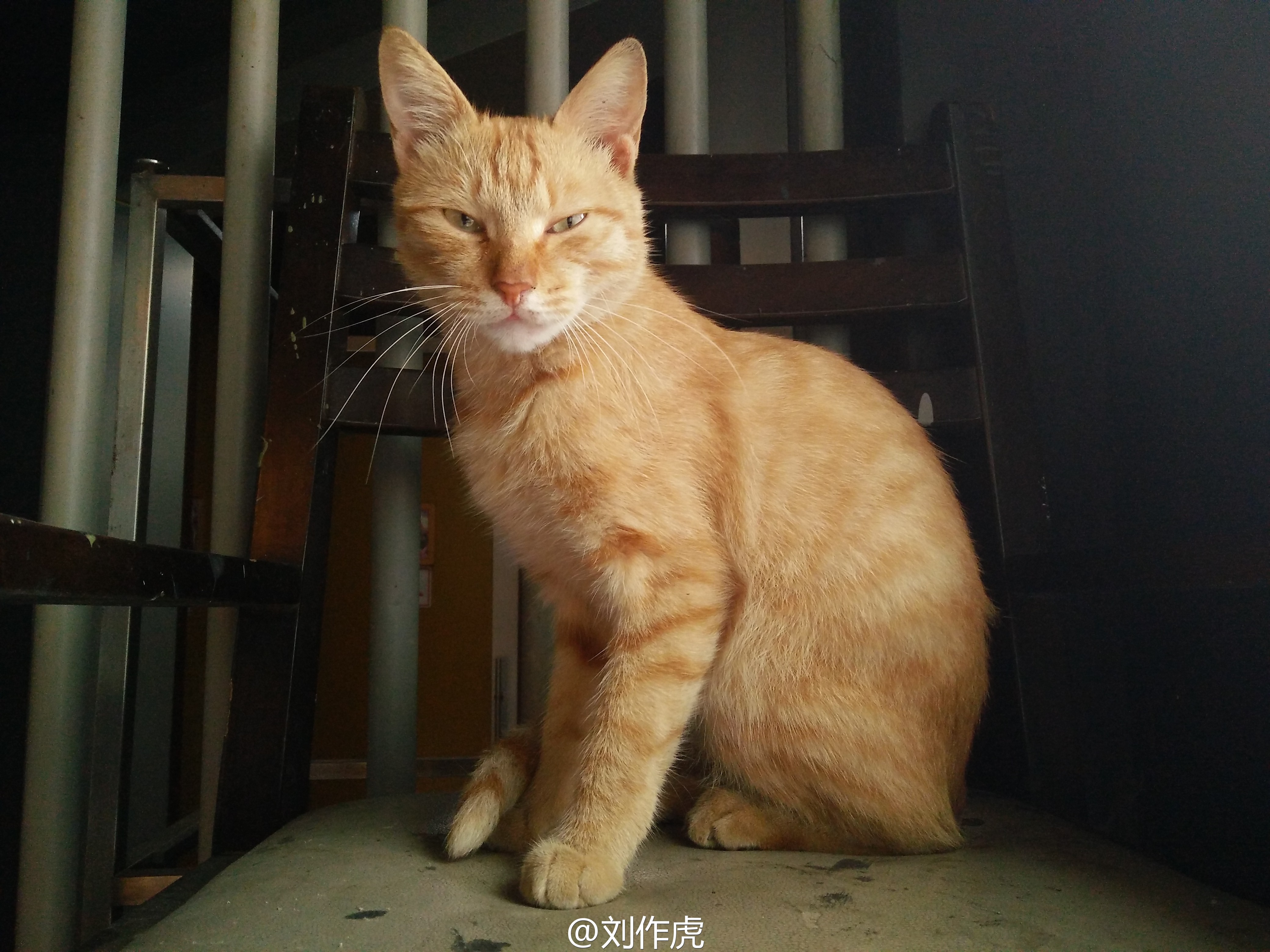 一加X樣張首曝光，跟紅米/魅藍(lán)比如何？