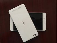 1GB獨(dú)立顯存？vivo超逆天新手機(jī)曝光