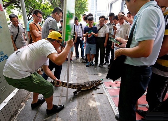 除了比基尼美女，這些推廣也讓我們漲見識(shí)了