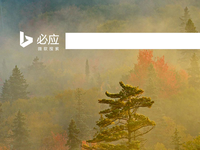 微軟再出手！Bing預測2015年全美音樂獎