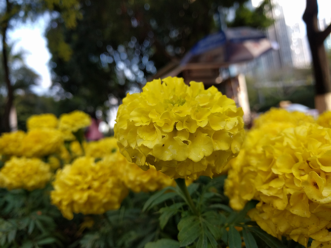 當親兒子也得要看氣質(zhì) Nexus 6P體驗評測