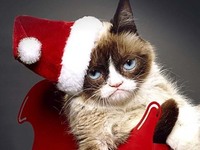 微軟都過節(jié)了！Windows更新神馬的都放一放