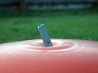 視頻：iPhone 6s Plus與大波波對戰，誰會贏？