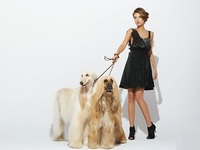 國(guó)內(nèi)最大寵物電商波奇網(wǎng)獲超1億美元融資 