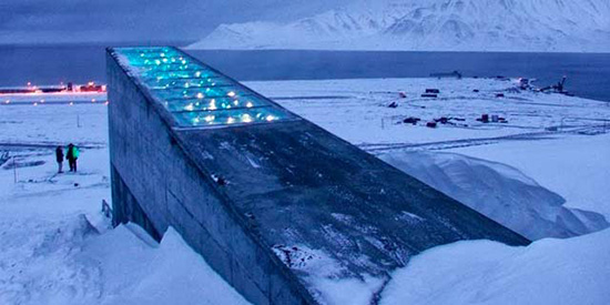 斯瓦爾巴全球種子庫：現(xiàn)實版的“諾亞方舟”