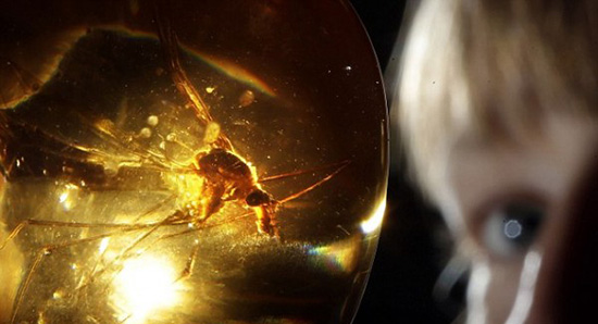 生活科學(xué)小知識(shí)：把討厭的蚊子徹底消滅真的好嗎？