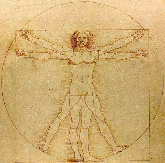 請珍惜身邊的男士，因為他們很有可能在500萬年后滅絕