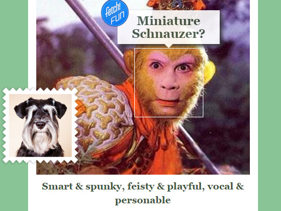 情人節(jié)將至，微軟的這款應(yīng)用或能幫你找到另一半