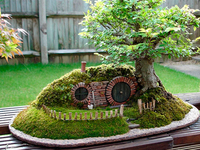 揭秘：室內(nèi)放植物真能夠降低PM2.5嗎？