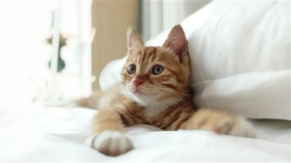 科客晚報：三星Note 7再添黑科技 滴滴優(yōu)步否認(rèn)合并