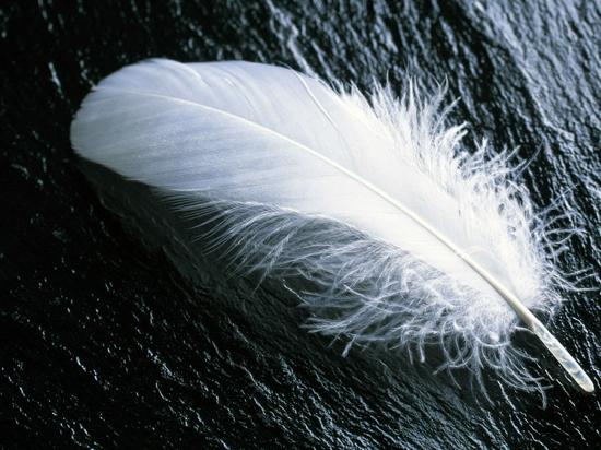 夠“輕”夠爽才清爽！五款輕巧手機(jī)精選