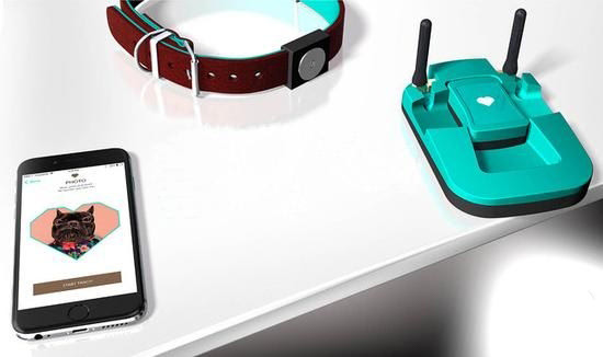 養(yǎng)狗很麻煩？請(qǐng)一個(gè)智能“管家”幫你吧