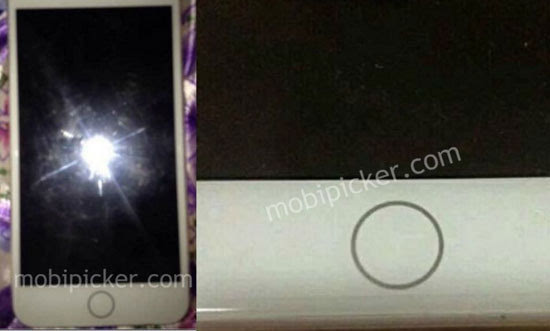 疑似iPhone 7真機(jī)圖曝光！真采用觸控式Home鍵