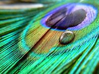 華為P9同款 李楠發(fā)魅族MX6樣張不忘吐槽“造假門(mén)” 