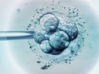 皮膚造人將實現(xiàn)？！生殖不再需要OOXX