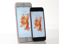 停滯不前！iOS更新率近一個(gè)月來毫無變化