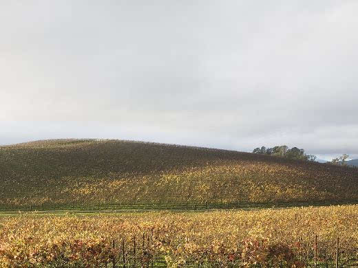 Windows XP經(jīng)典壁紙20周年了 你不會(huì)沒見過