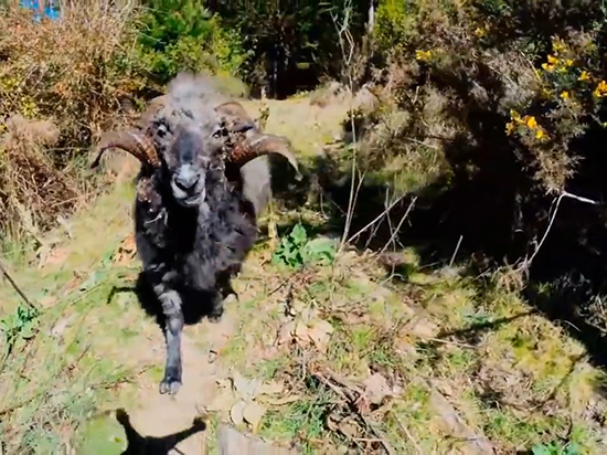 無人機(jī)超可怕！上天前先看看這些災(zāi)難現(xiàn)場(chǎng)吧