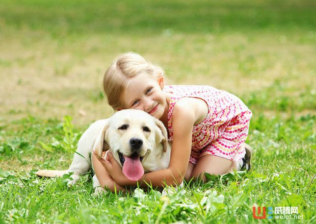 怕寵物走失？Poof幫你一秒定位汪星人！