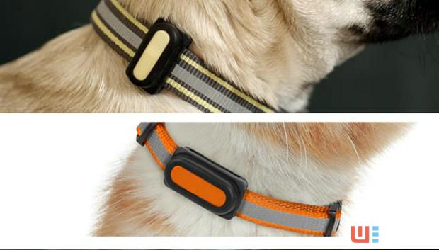 怕寵物走失？Poof幫你一秒定位汪星人！