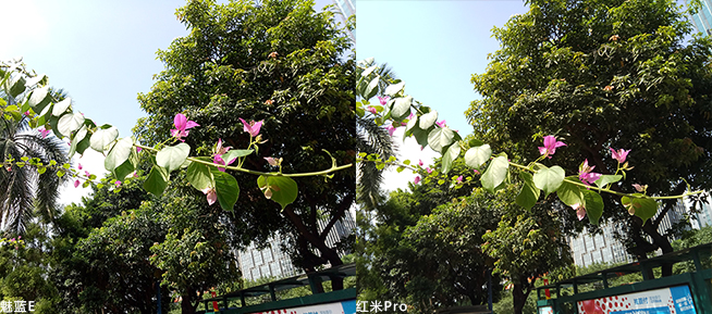 紅米Pro/魅藍(lán)E該買誰(shuí)：千元旗艦四大項(xiàng)全面對(duì)比