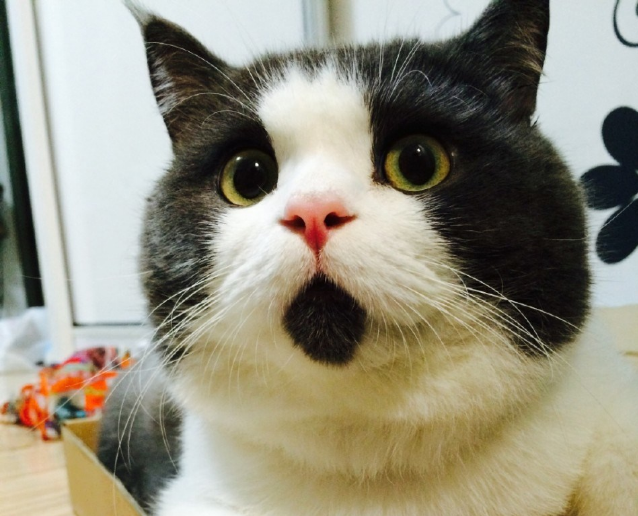 科客晚報：一加3是國產(chǎn)第一？全球首款安卓7.0手機發(fā)布