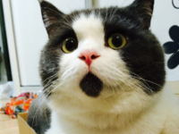 科客晚報：一加3是國產(chǎn)第一？全球首款安卓7.0手機(jī)發(fā)布