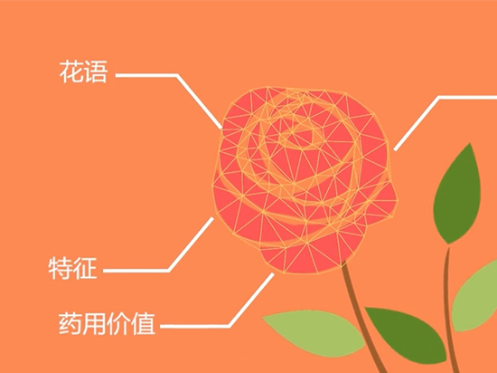如何認(rèn)出花名？微軟識(shí)花一鍵搞定