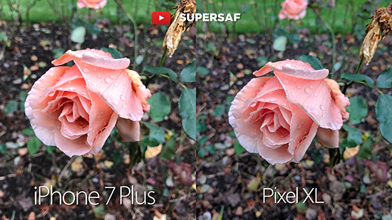 最強之戰(zhàn)：谷歌Pixel XL vs iPhone 7 Plus