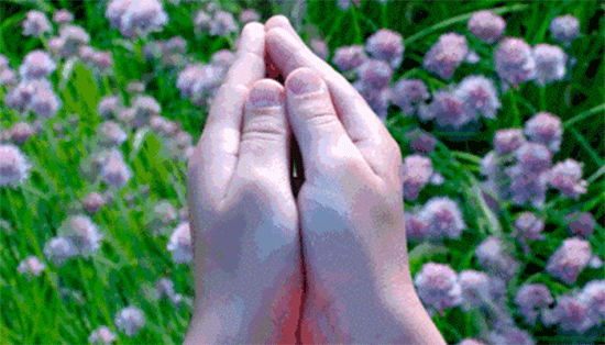 這家PPT公司尚沒有產(chǎn)品 市場總監(jiān)已離職