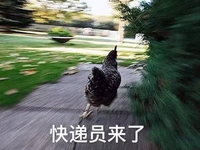 Talk客：雙11過去一周多 剁完手的你是否和我一樣？