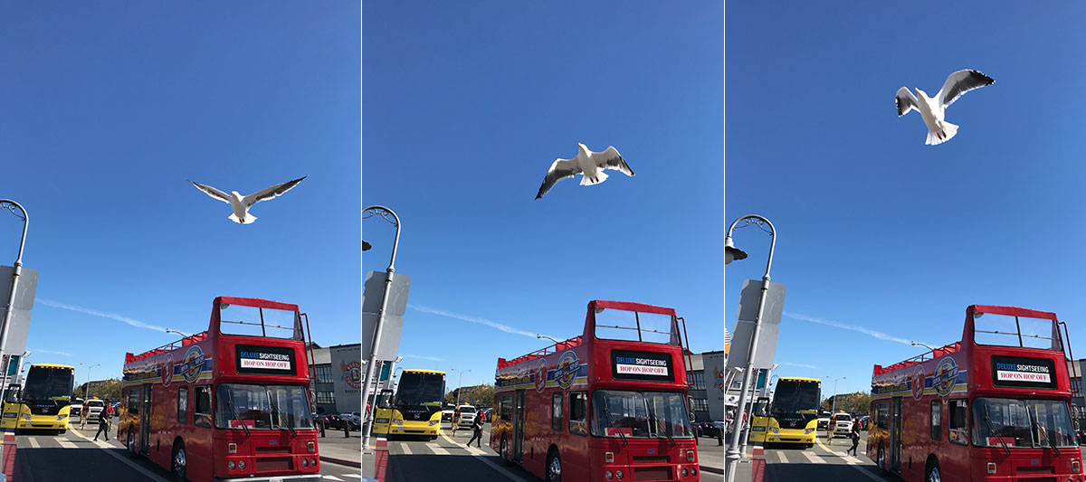 iPhone 7 Plus兩個(gè)月體驗(yàn)：老司機(jī)變藝術(shù)范！